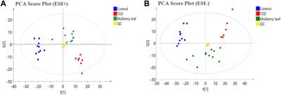 Therapeutic mechanisms of mulberry leaves in type 2 diabetes based on metabolomics